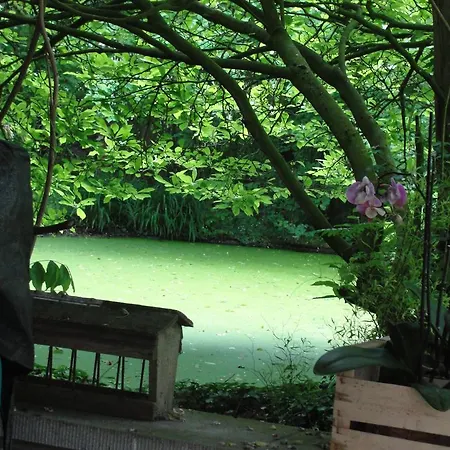 常春藤住宿加早餐旅馆 4*
